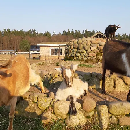 Domek Holenderski W Stadnine Koni Mazury * Łukta