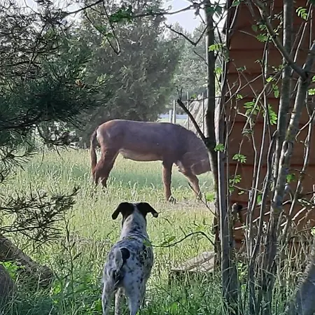 Domek Holenderski W Stadnine Koni Mazury Parque de Campismo *