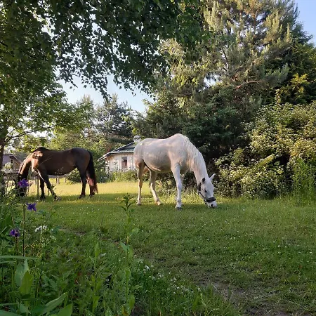 Domek Holenderski W Stadnine Koni Mazury *