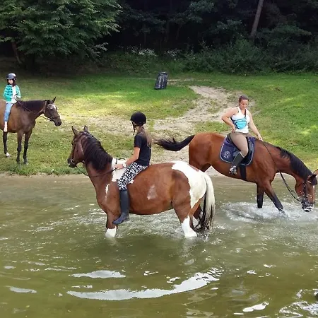 Domek Holenderski W Stadnine Koni Mazury * Łukta